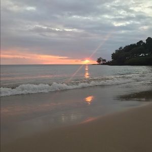 Meet your Posher, Molly